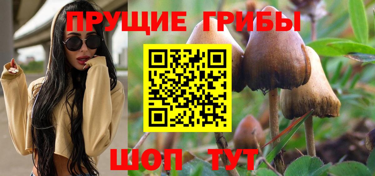 Псилоцибиновые грибы GOLDEN TEACHER  Вход с VPN  Приморско-Ахтарск 