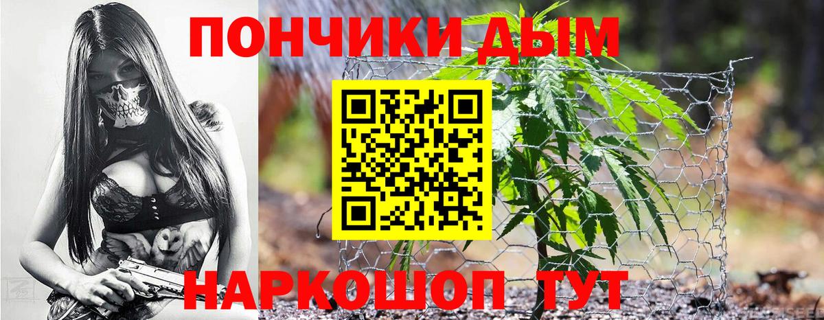 Бошки марихуана гибрид  Вход с VPN  Каннабис индика  Бошки марихуана планчик  Шишки марихуана тримм  Приморско-Ахтарск 